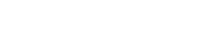 FlowPadel Logo